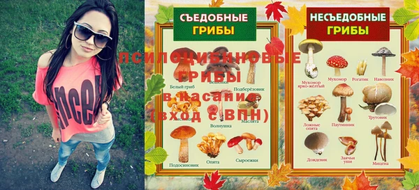 дживик Вяземский