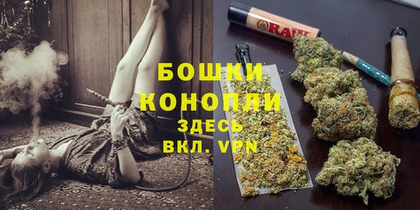 дживик Вяземский